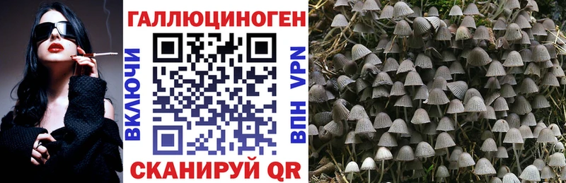 Купить закладки  Благовещенск  Галлюциногенные грибы MAGIC MUSHROOMS 